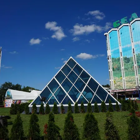 счастье здесь